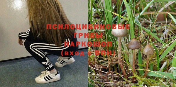 мяу мяу мука Алексин