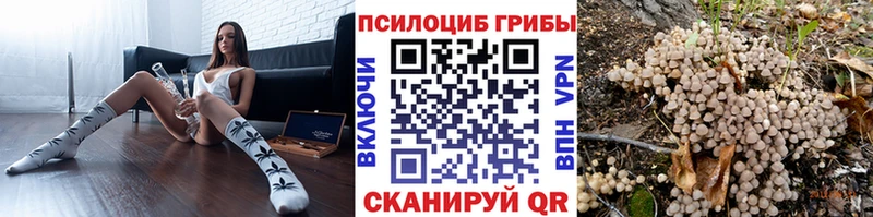 купить наркотики цена  Ливны  Галлюциногенные грибы Cubensis 